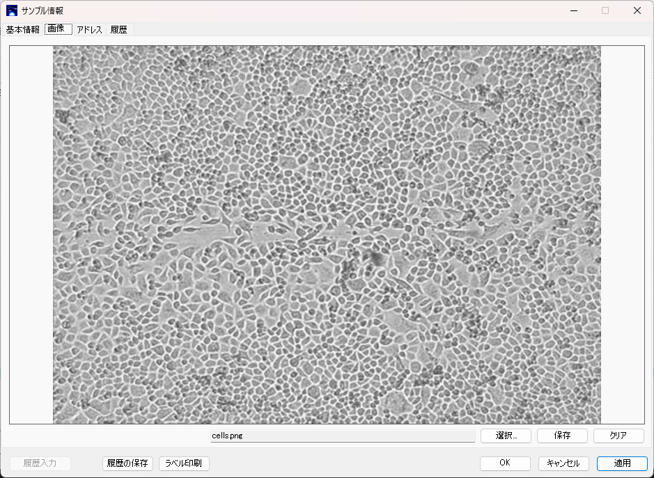 Sample information, image
